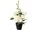 Planta Artificiala Trandafir Trunchi In Ghiveci H 48 Cm Crem