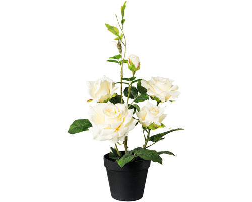 Planta Artificiala Trandafir Trunchi In Ghiveci H 48 Cm Crem