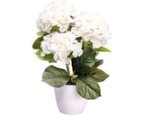 Planta Artificiala Ortensie In Ghiveci H 32 Cm Alb