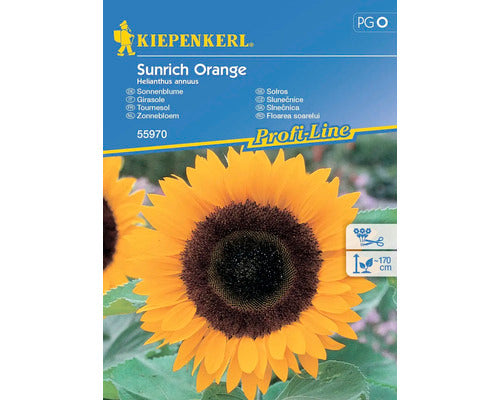 Seminte Flori Kiepenkerl Floarea Soarelui Portocalie Sunrich F1