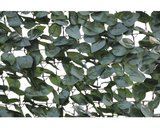 Protectie Vizuala Aspect Iedera 1x3m