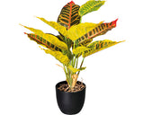 Planta Artificiala Croton In Ghiveci H 35 Cm Verde/ Galben