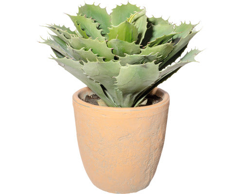Planta Artificiala Echeveria Xl In Ghiveci H 32 Cm Verde