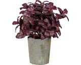 Planta Artificiala Tufa Busuioc In Ghiveci Ciment H 30 Cm Rosu