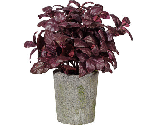 Planta Artificiala Tufa Busuioc In Ghiveci Ciment H 30 Cm Rosu
