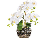 Planta Artificiala Orhidee Fluture Phalaenopsis In Vas H 30 Cm Alb