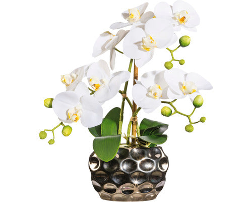 Planta Artificiala Orhidee Fluture Phalaenopsis In Vas H 30 Cm Alb