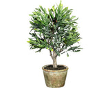 Planta Artificiala Maslin In Ghiveci H 36 Cm Verde