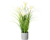 Planta Artificiala Iarba Carex In Ghiveci H 50 Cm Verde