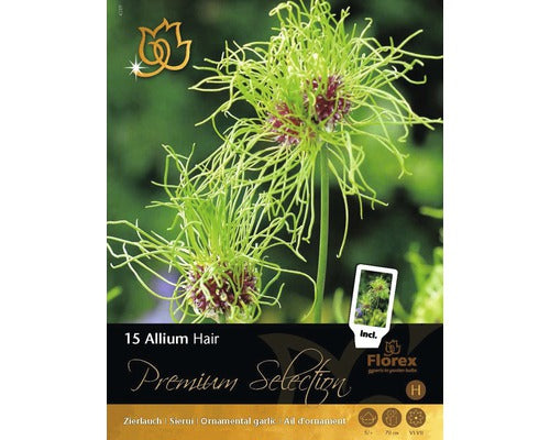Bulbi De Flori Premium Allium Hair 15 Buc