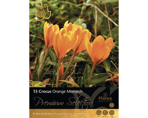 Bulbi De Flori Branduse Orange 15 Buc