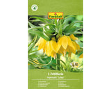 Bulb De Flori Floraself Fritillaria Imperialis Lutea 20/22 1 Buc