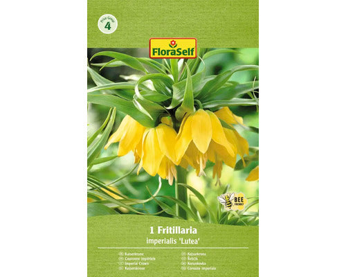 Bulb De Flori Floraself Fritillaria Imperialis Lutea 20/22 1 Buc