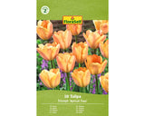 Bulbi De Lalele Floraself Apricot Foxx 11/12 10 Buc