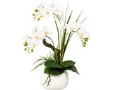 Planta Artificiala Orhidee Fluture Phalaenopsis In Vas Ceramic H 46 Cm Alb