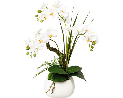 Planta Artificiala Orhidee Fluture Phalaenopsis In Vas Ceramic H 46 Cm Alb