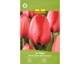Bulbi De Lalele Floraself Red Impression 11/12 10 Buc