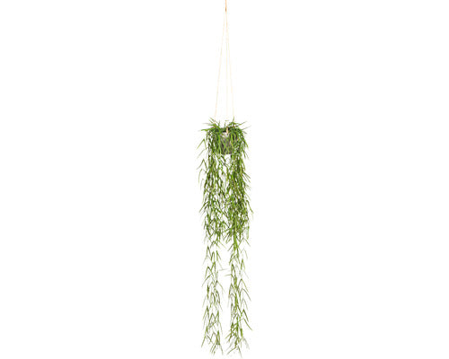 Planta Artificiala Tillandsia Aeranthos Suspendata H 90 Cm Verde