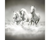 Tablou Sticla White Horses 20x20 Cm