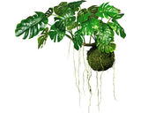 Planta Artificiala Monstera Cu Bila Muschi H 80 Cm Verde