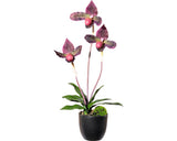 Planta Artificiala Cypripedium In Vas H 45 Cm Visiniu/verde