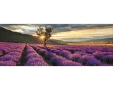 Tablou Sticla Silence 30x80 Cm