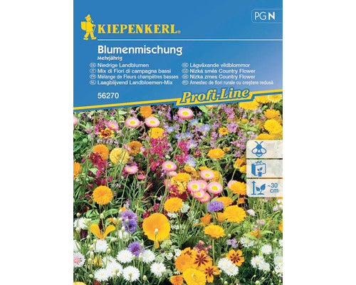 Seminte Flori Kiepenkerl Plante Covor De Flori