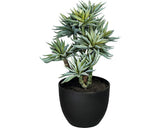 Planta Artificiala Suculente In Ghiveci H 30 Cm Verde