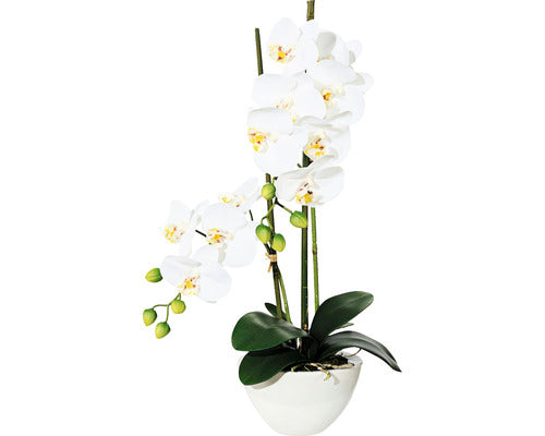 Planta Artificiala Orhidee Fluture Phalaenopsis In Ghiveci H 50 Cm Alb