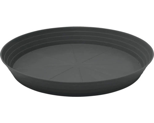 Farfurie Primavera Ø 54 Cm Antracit