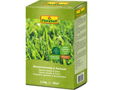 Seminte Reinsamantare Gazon Floraself 1, 2 Kg 50 Mp