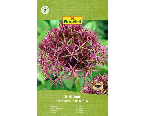 Bulbi De Flori Floraself Allium Albopilosum 10/12 5 Buc