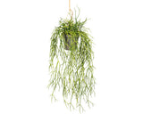 Planta Artificiala Rhipsalis Suspendat H 60 Cm Verde