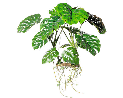 Planta Artificiala Monstera Suspendata H 100 Cm Verde