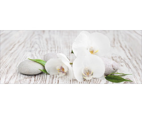 Tablou Sticla White Spring Iv 30x80 Cm