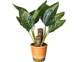Planta Artificiala Canna In Ghiveci H 45 Cm Verde