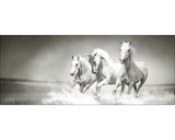 Tablou Sticla White Horses 30x80 Cm