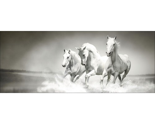 Tablou Sticla White Horses 30x80 Cm