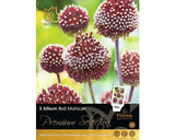 Bulbi De Flori Premium Allium Mohican Rosu 3 Buc
