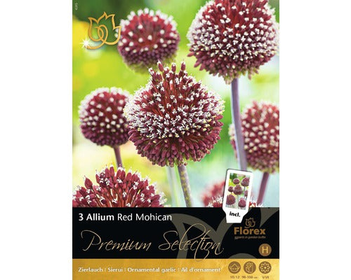 Bulbi De Flori Premium Allium Mohican Rosu 3 Buc