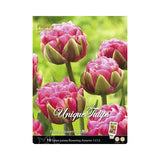 Bulbi lalea Aveyron, roz, 10 buc