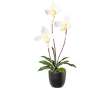 Planta Artificiala Cypripedium In Vas H 45 Cm Crem/verde