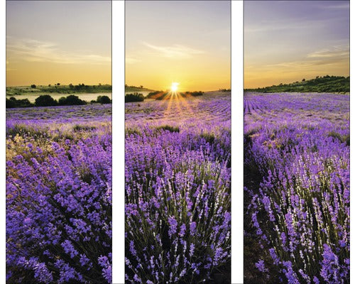 Tablou Sticla Beautiful Lavender 3 X 30x80 Cm