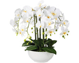 Planta Artificiala Orhidee Fluture Phalaenopsis In Ghiveci H 54 Cm Alb