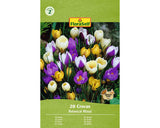 Bulbi De Flori Floraself Branduse Salbatice Mix 5/7 20 Buc