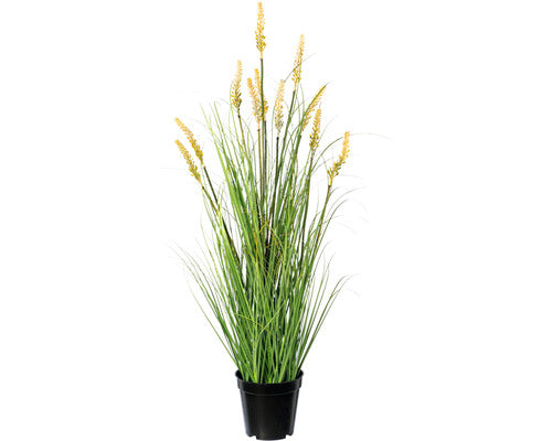 Planta Artificiala Iarba Decorativa Pennisetum In Ghiveci H 79 Cm Verde