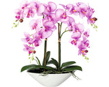 Planta Artificiala Orhidee Fluture Phalaenopsis In Ghiveci H 53 Cm Roz