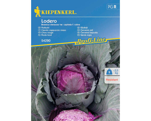 Seminte Legume Kiepenkerl Varza Rosie Lodero F1
