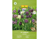 Bulb De Flori Floraself Fritillaria Meleagris 5/6 25 Buc