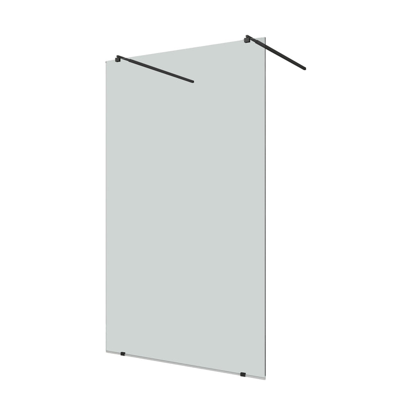 Paravan de dus walk-in Sanotechnik Freedom I BW, sticla securizata, Easyclean, 127x195 cm